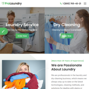 Website Pro Laundry